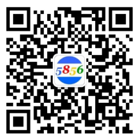 點(diǎn)到物流